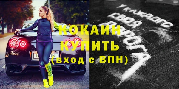 шишки Армянск