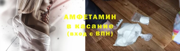 шишки Армянск