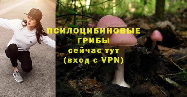 MESCALINE Аркадак