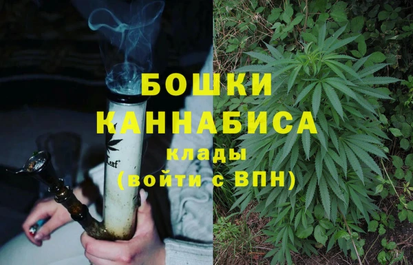 MESCALINE Аркадак